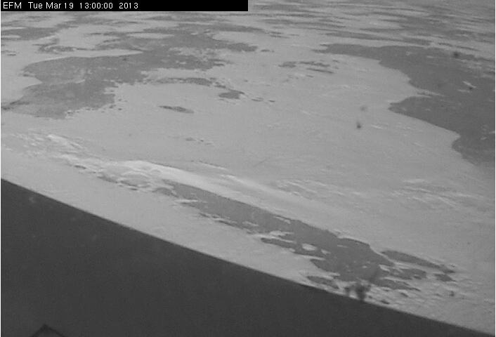 limnology webcam